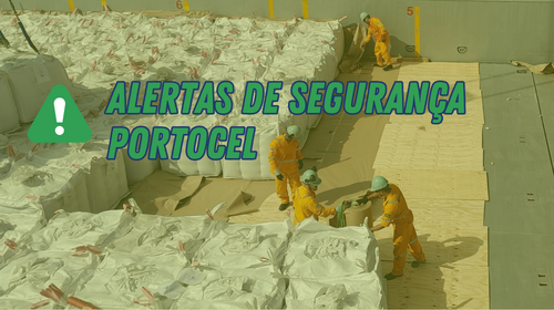 Alertas de segurança Portocel