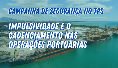 Impulsividade e o cadenciamento nas operações portuárias no TPS